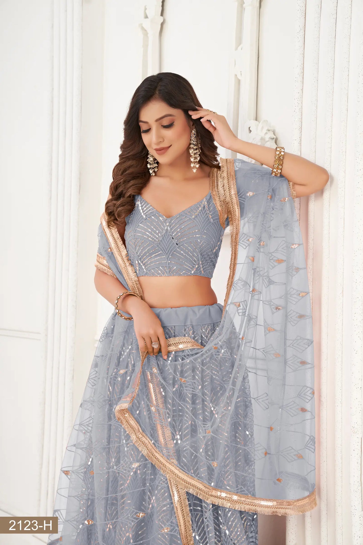 Lehenga Choli en filet gris clair avec broderie au fil, travail de miroirs et broderie de sequins