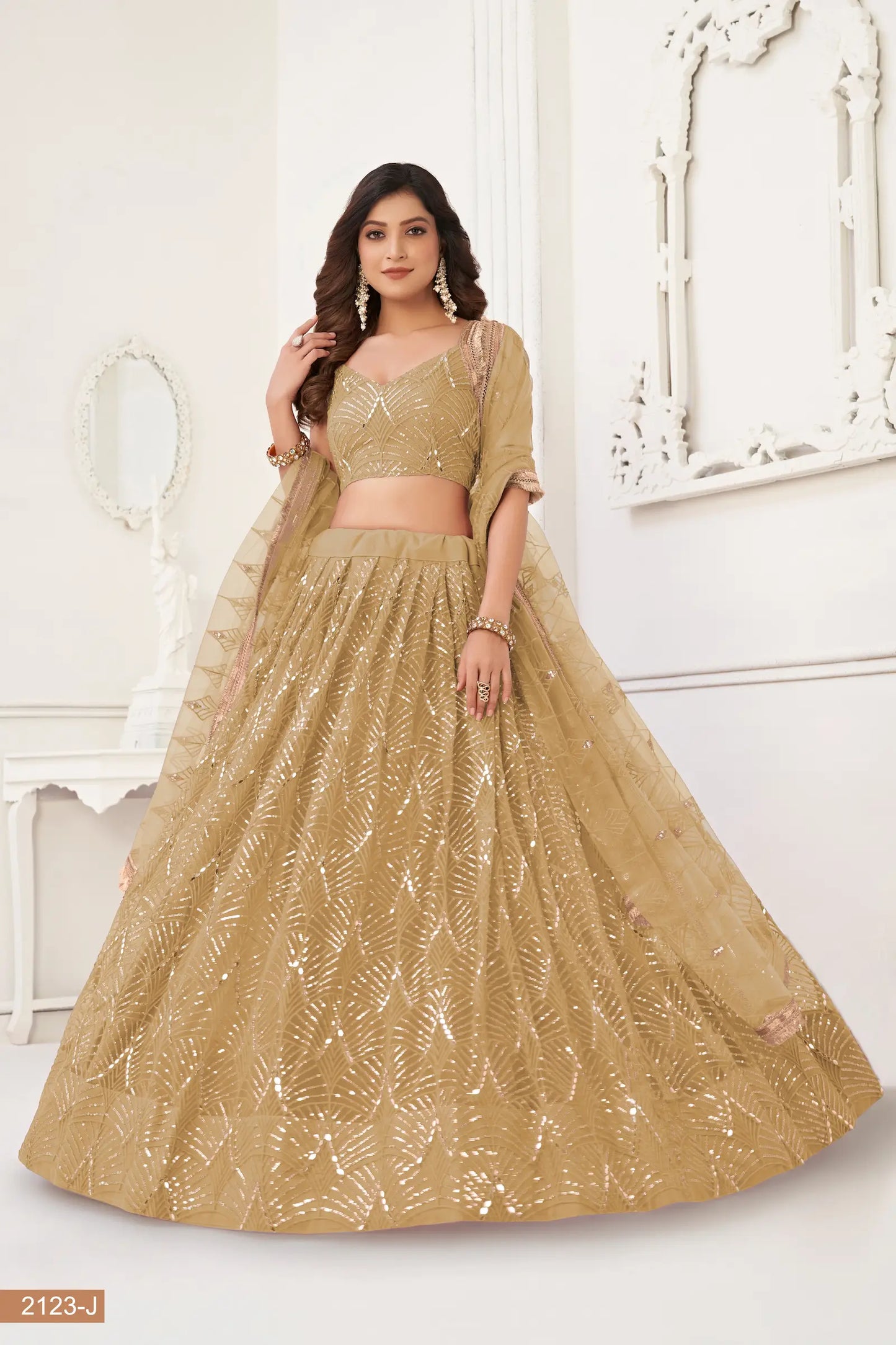 Lehenga Choli en filet beige foncé avec broderie au fil, travail de miroirs et broderie de sequins