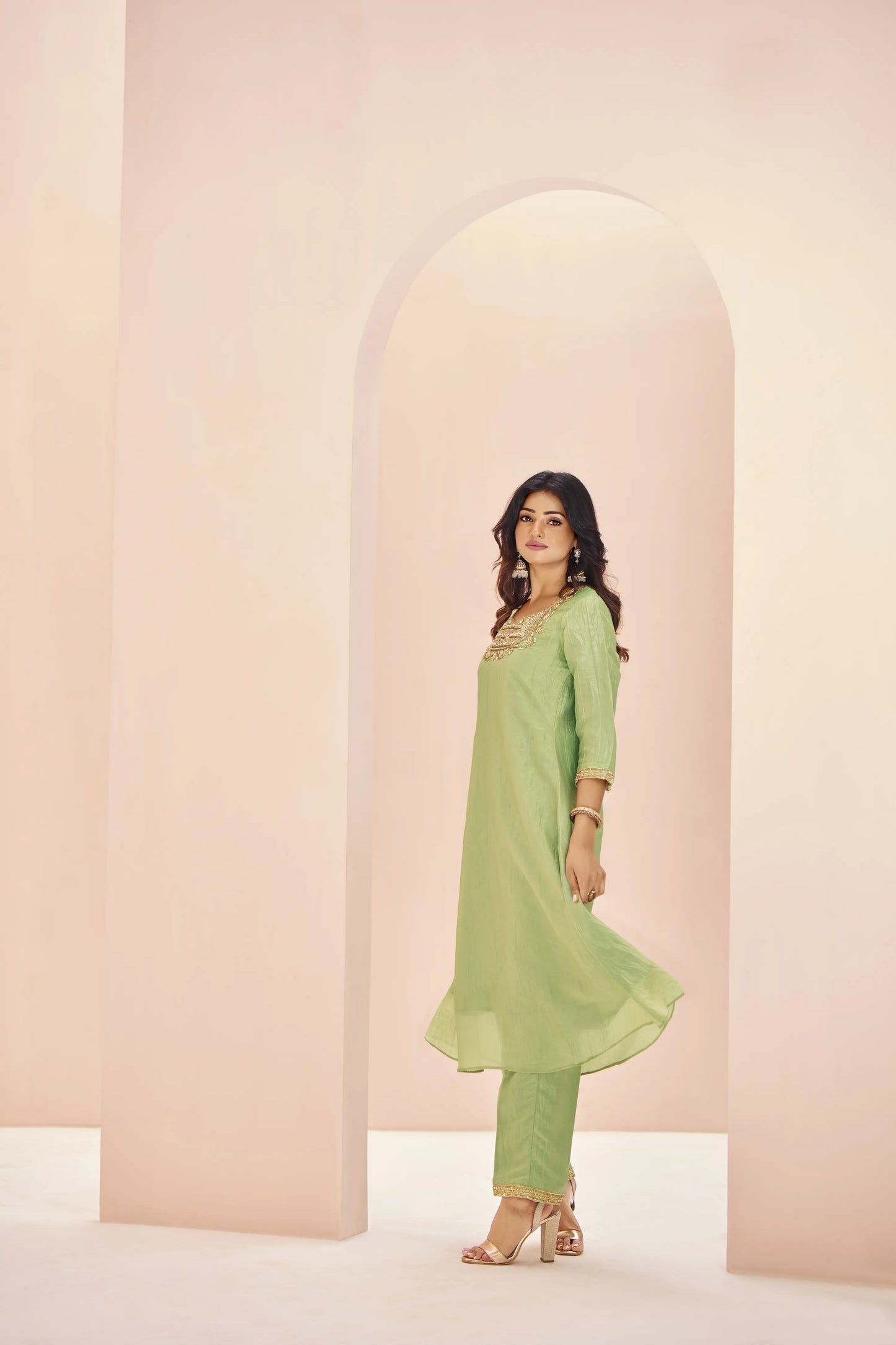 Salwar Suit en Organza Vert Clair avec Broderie à la Main