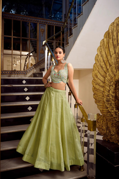 Lehenga Choli en vert clair Gold Crush avec broderie en sequins et fil COLLECTION AYRA