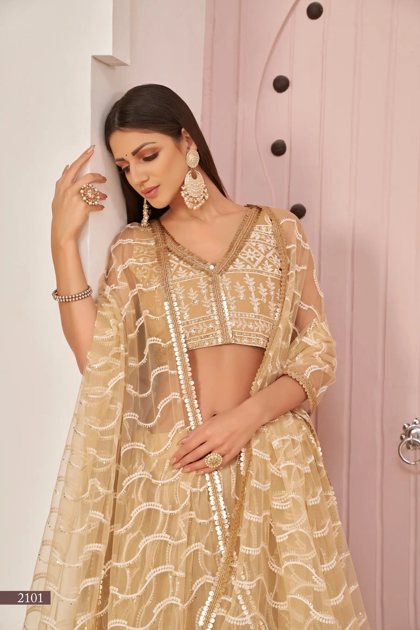 Lehenga Choli en filet beige foncé avec broderies en fil de coton blanc, travail en zari et sequins