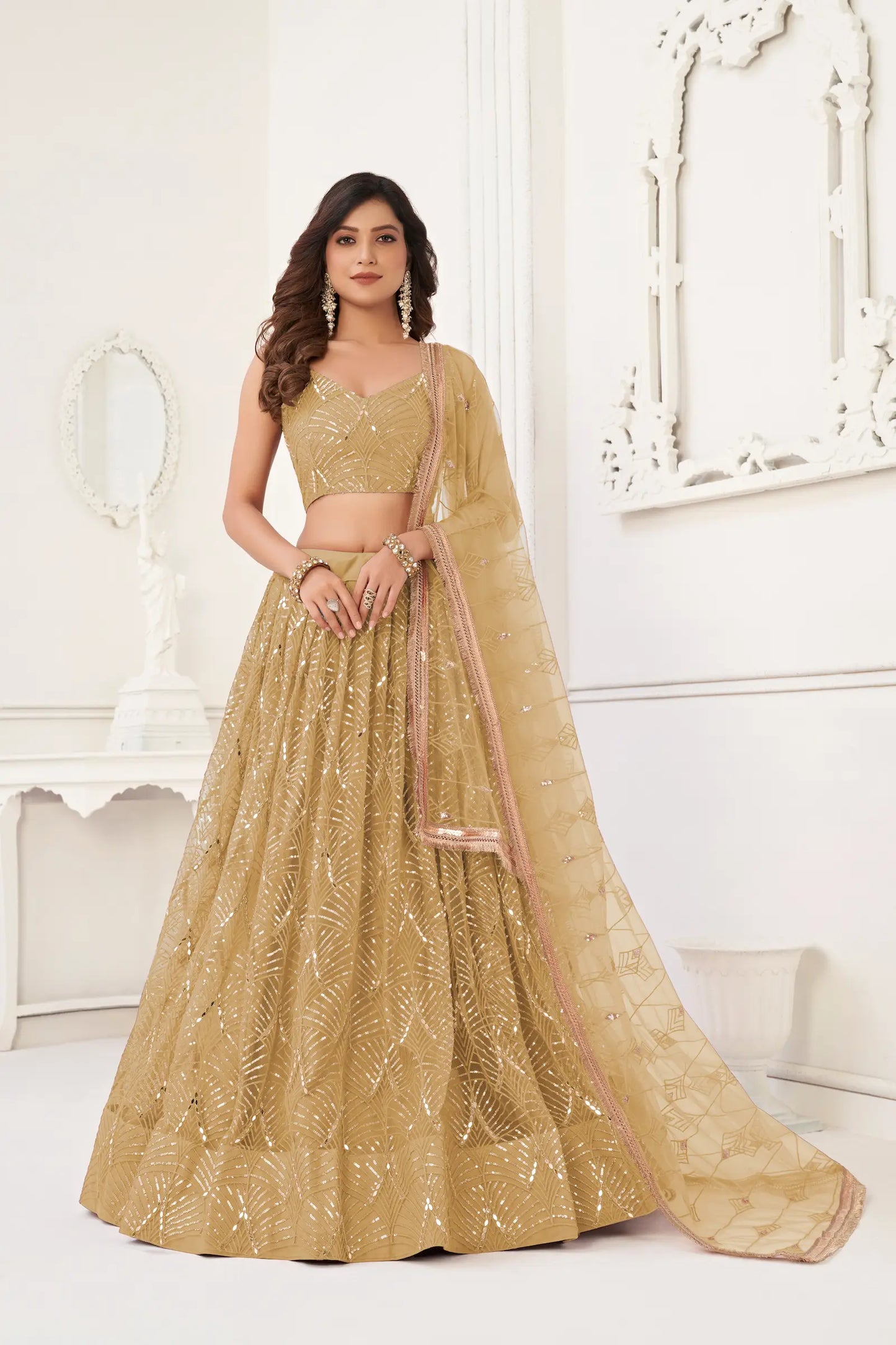 Lehenga Choli en filet beige foncé avec broderie au fil, travail de miroirs et broderie de sequins