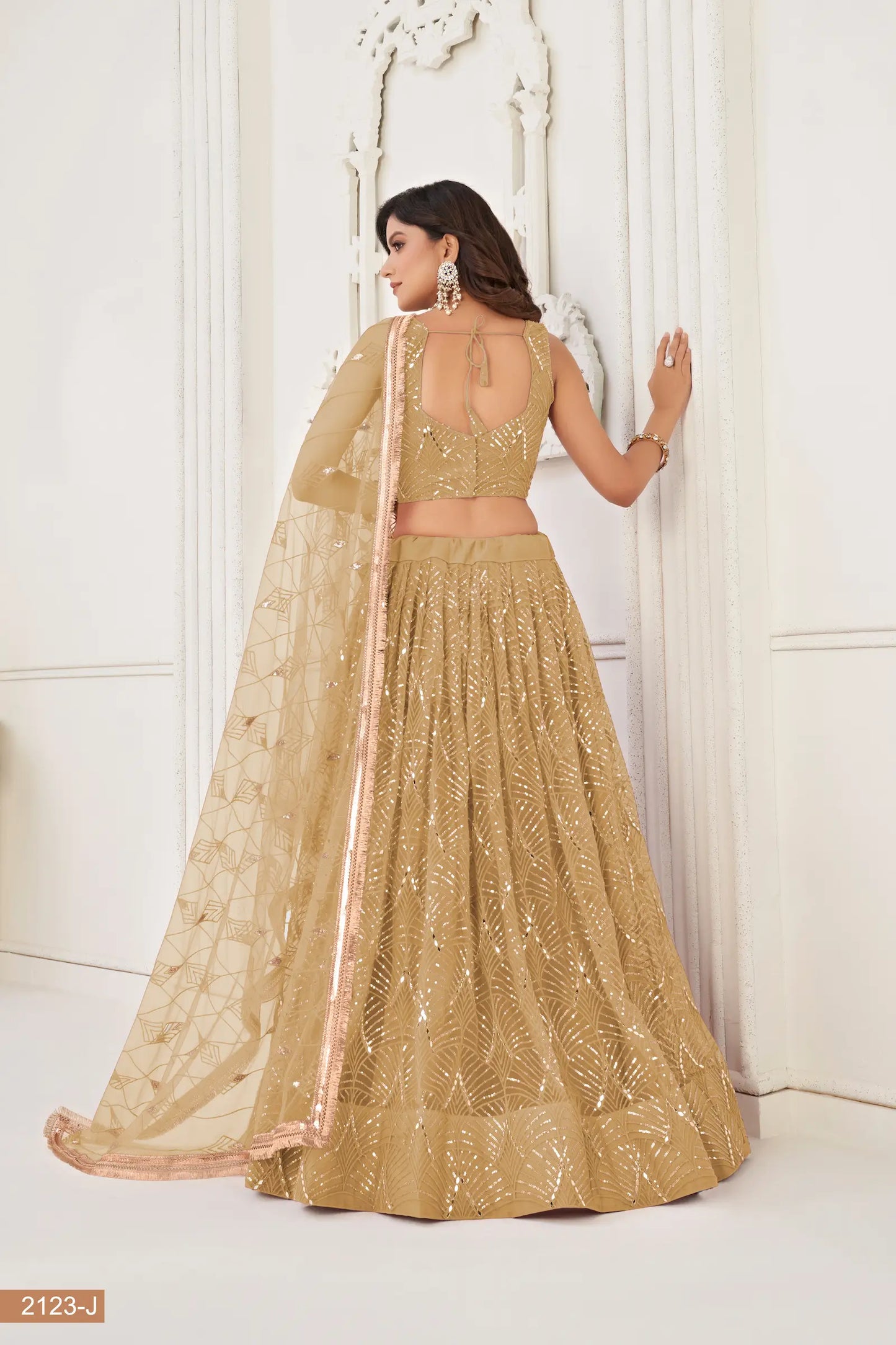 Lehenga Choli en filet beige foncé avec broderie au fil, travail de miroirs et broderie de sequins