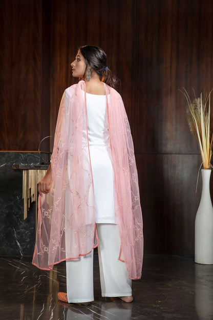 Salwar Suit en Georgette Blanc et Rose avec Broderie au Fil