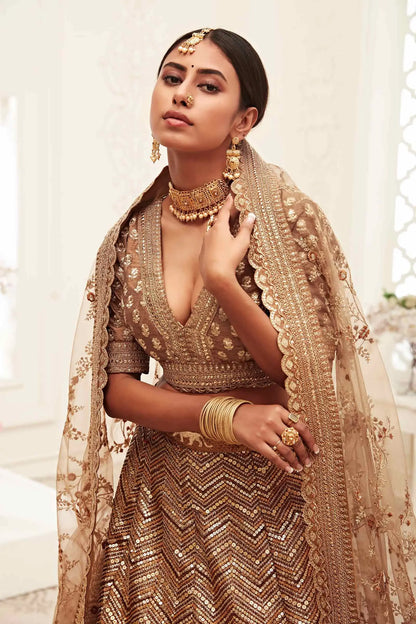 Lehenga en soie marron doré riche avec broderies en fil, dori, zari et sequins
