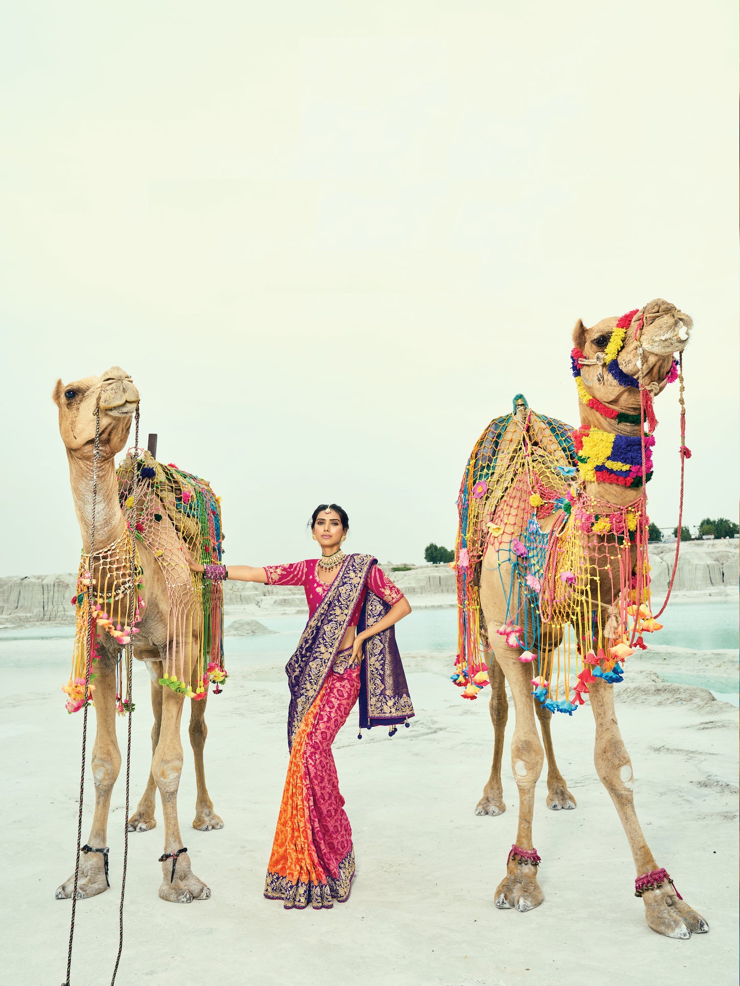 Sari violet et rose fuchsia en pur tissu georgette bandhej avec travail fait main de moti et cut-dana COLLECTION KHUSHI