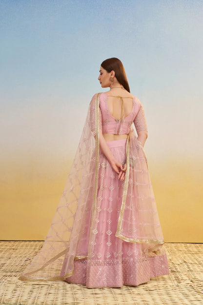 Lehenga Rose Clair en tulle avec broderies et sequins brillants festif COLLECTION LARA