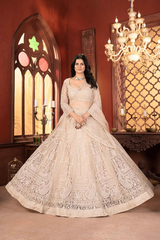 Beiges Netz-Lehenga-Choli mit glänzender Fadenstickerei