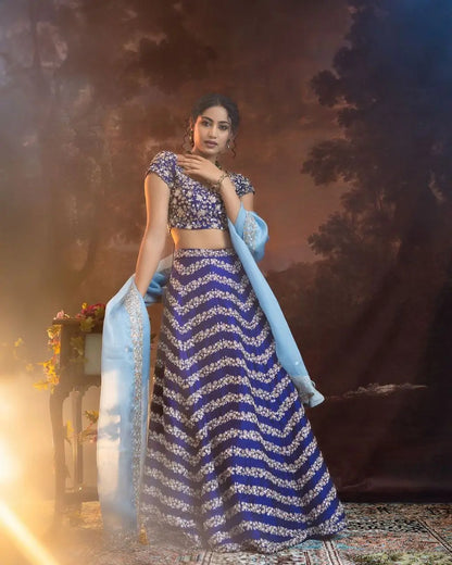 Navy Blue Chinnon Silk Lehenga with Embroidery and Sequins Coding